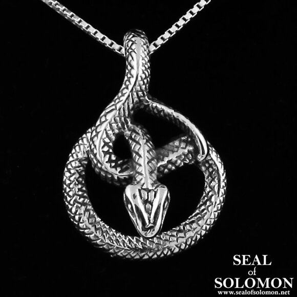 Sterling Silver Serpent Pendant In a Tear-Drop Shape 1