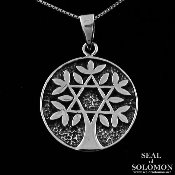 Tree of Life with Star of David Necklace in 925 Silver